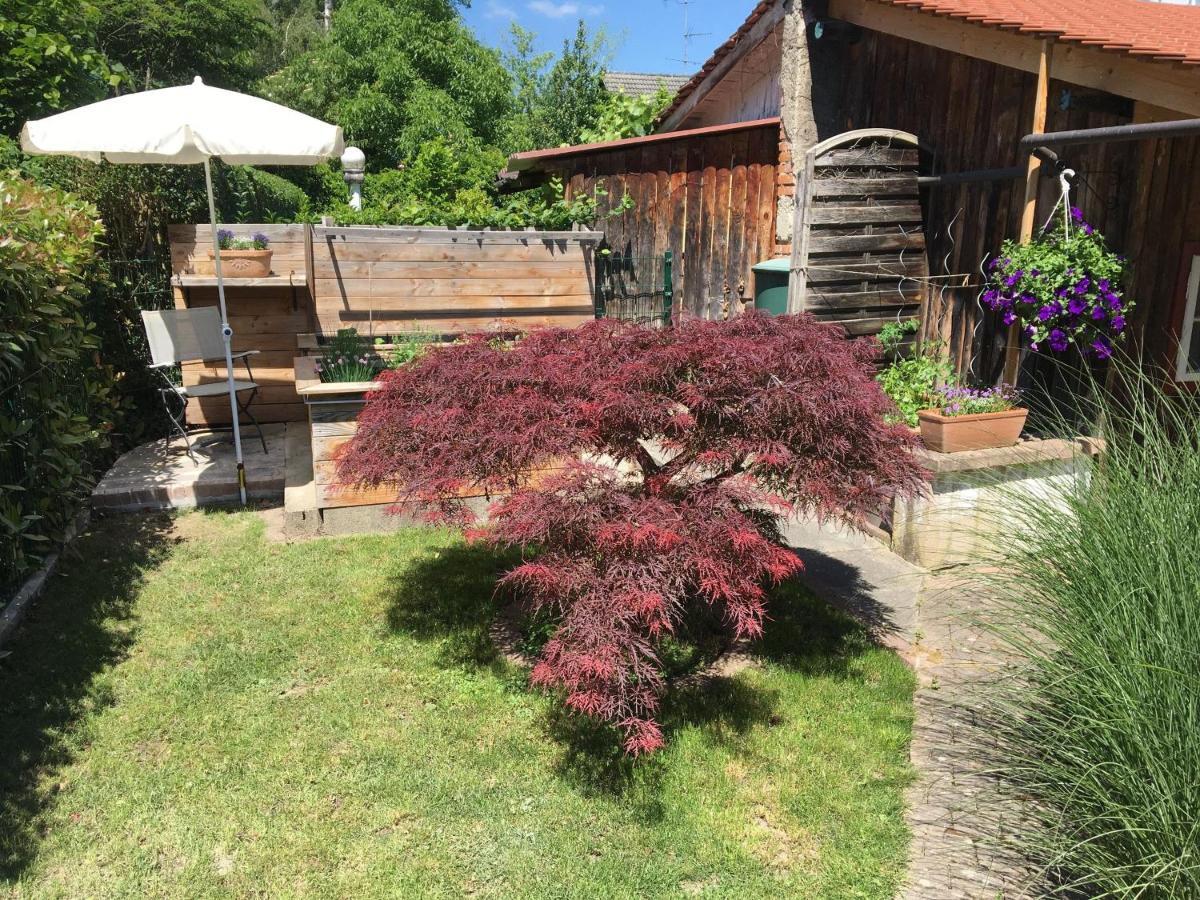 Ferienwohnung Dashaus Rheinfelden  Exterior foto
